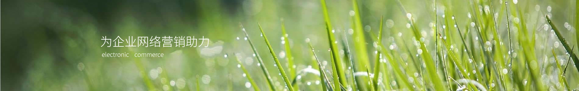 ֽ޹˾